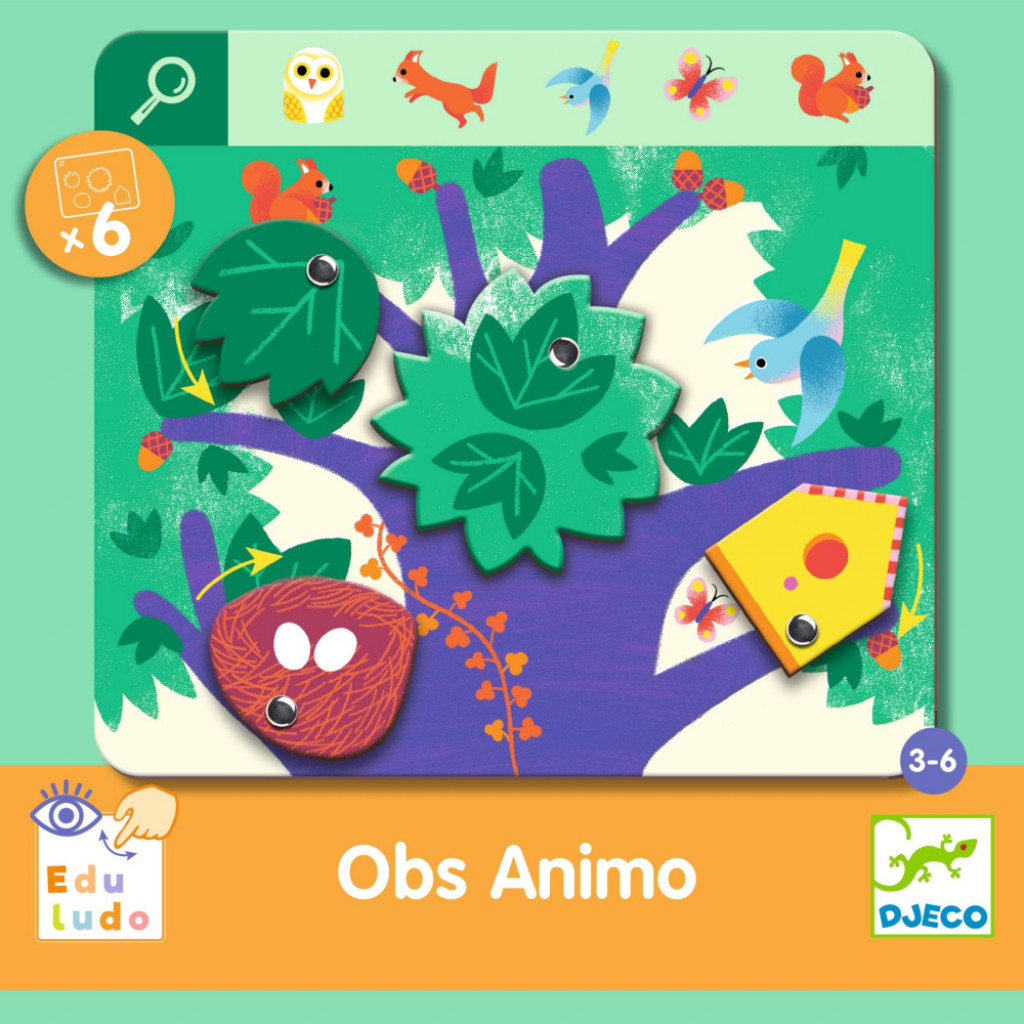 DJECO ENG: Obs Animo