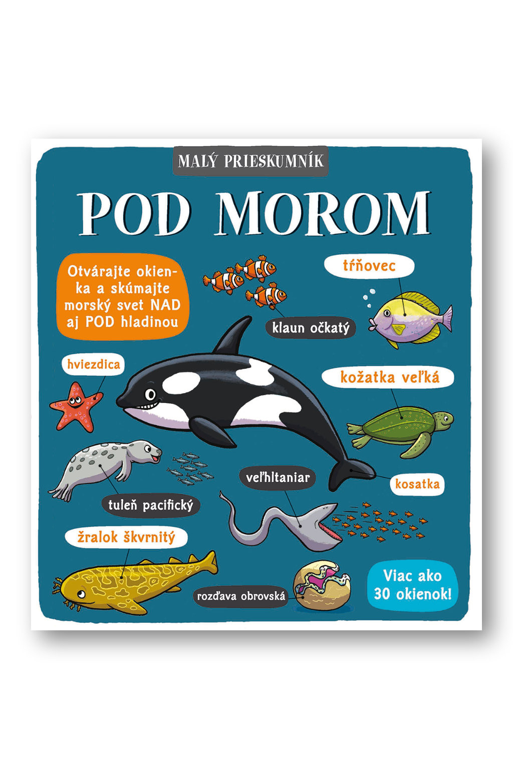 Svojtka Malý prieskumník – Pod morom