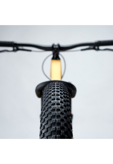 Bicykel XtriX dirt 20