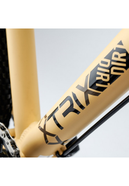 Bicykel XtriX dirt 20