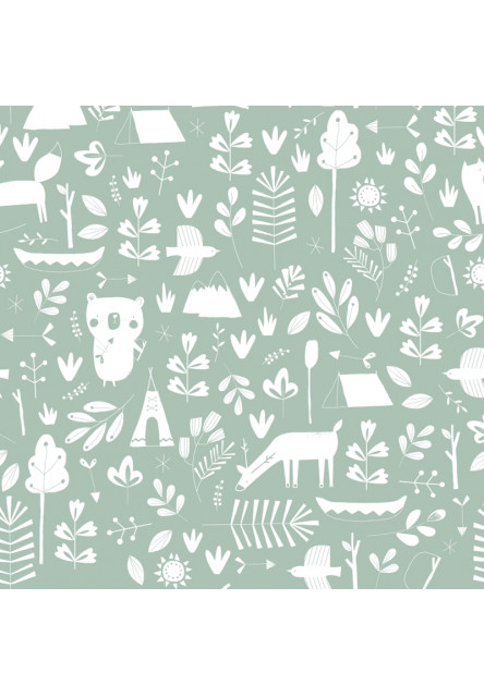 Tapeta adventure mint