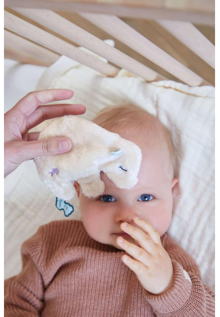 Petit Calme Plyšový medveď s levanduľovým vankúšom chladiaci ukludňujúci 9 cm