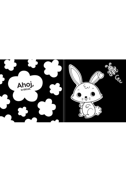 Ahoj, mláďatá!