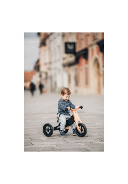 Free2Move Rider Plus Odrážadlo/trojkolka 2v1 Black