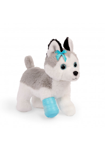 Husky v kabelke s veterinárskou sadou