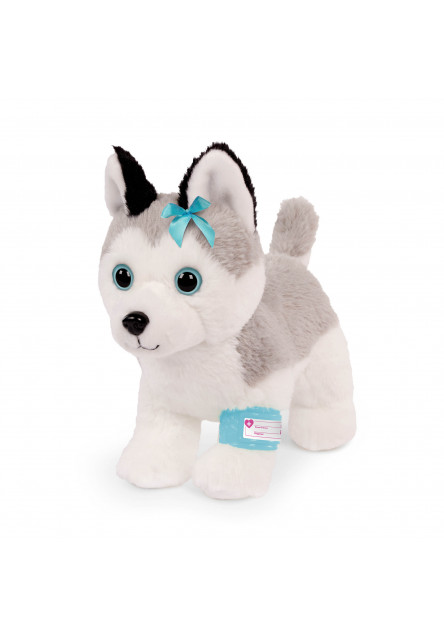 Husky v kabelke s veterinárskou sadou
