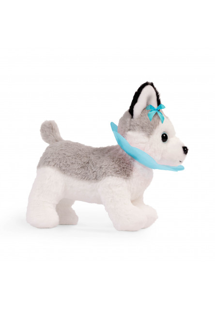 Husky v kabelke s veterinárskou sadou