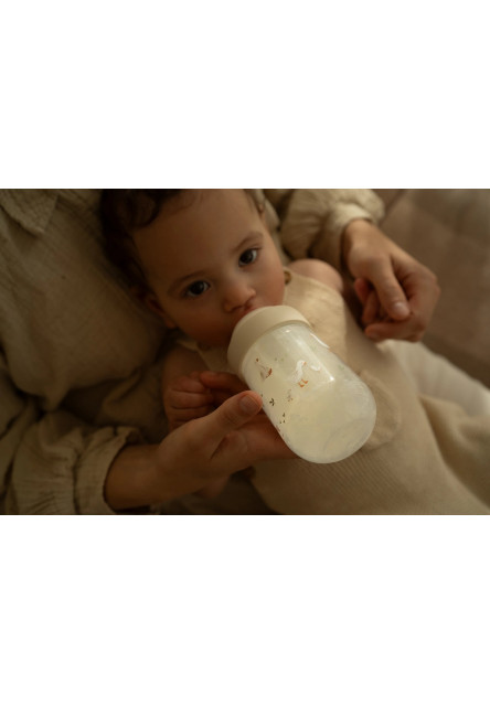 Dojčenské fľaše 165 ml + 240 ml + 2 cumlíky Husa