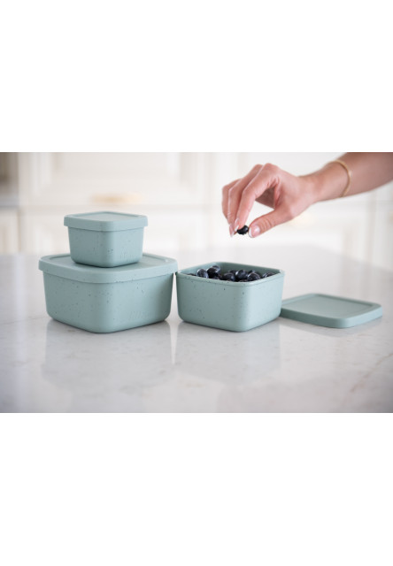 Sada boxů na svačinu 3 ks Platinum Silicone Sage