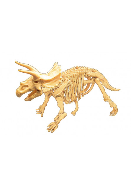 Dinodig vykopávka a kostra Triceratops