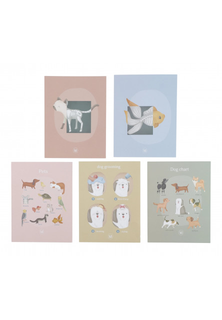 Veterinárna ordinácia drevená