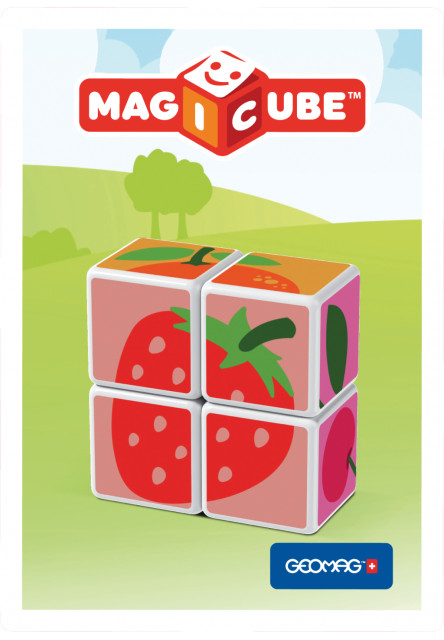 Magicube Ovoce