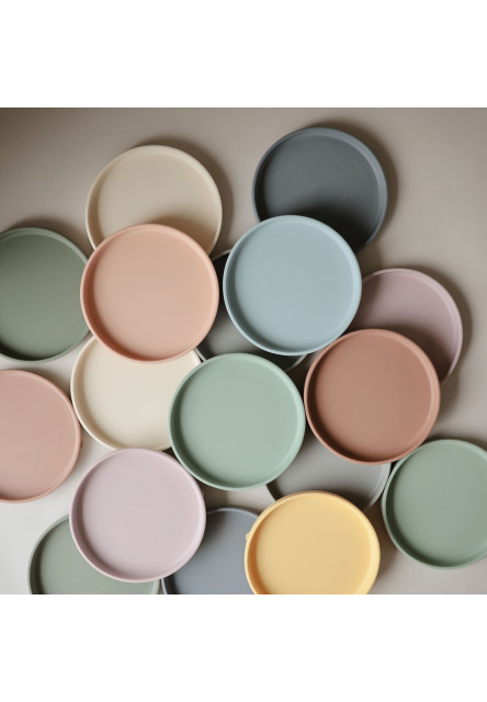 Classic silikónový tanier s prísavkou (Dried Thyme)