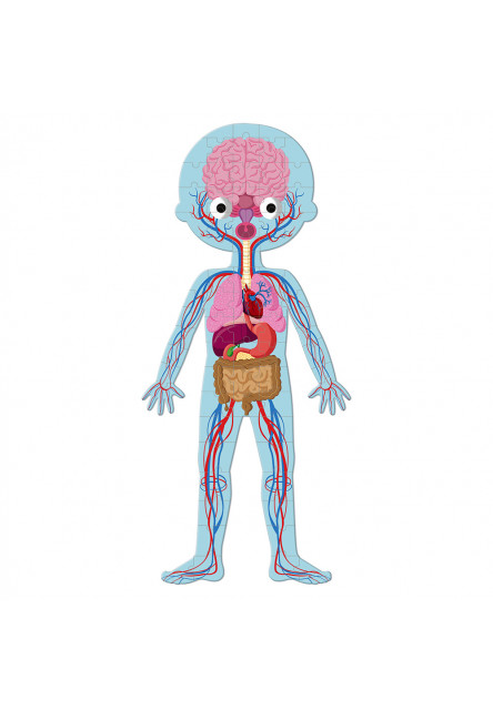 Vzdelávacie puzzle Ľudské telo 50-75-100 ks