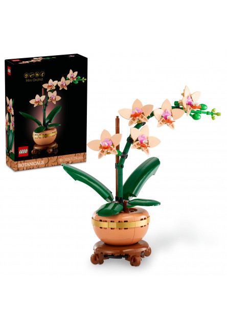 Miniatúrna orchidea
