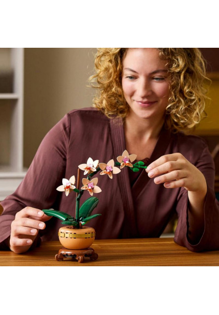 Miniatúrna orchidea