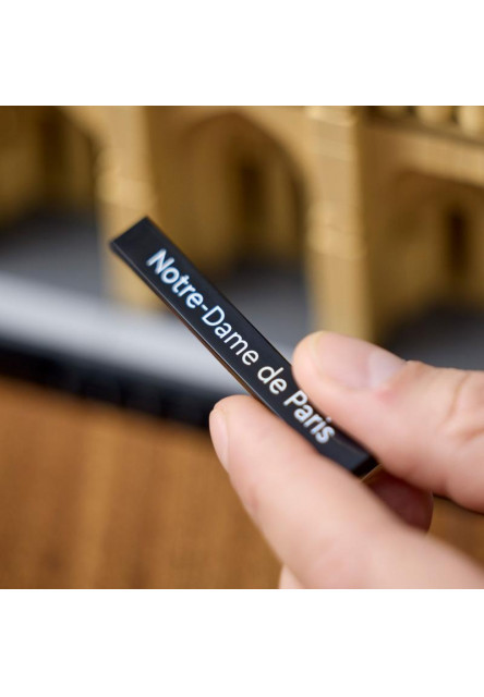 Notre-Dame v Paríži