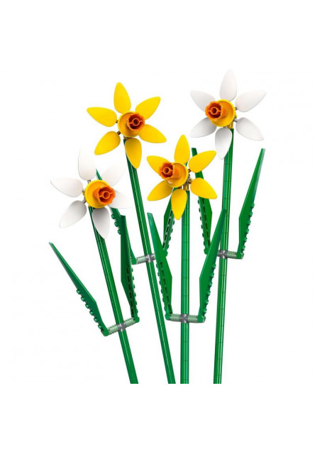 Narcisy