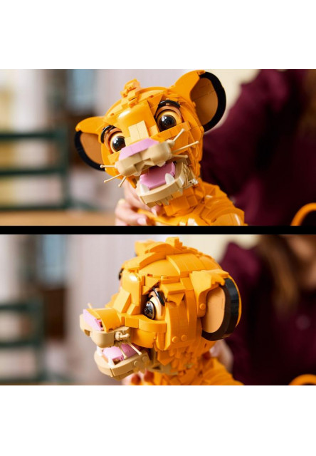 Mladý Simba z Levieho kráľa  