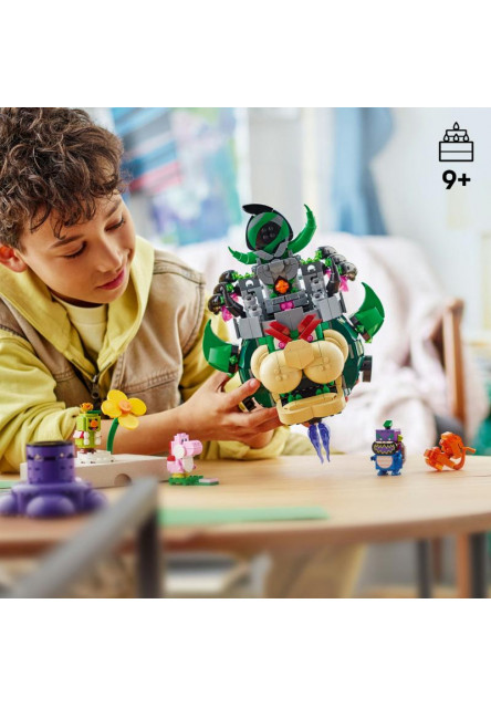 Princ Florian a Castle Bowser
