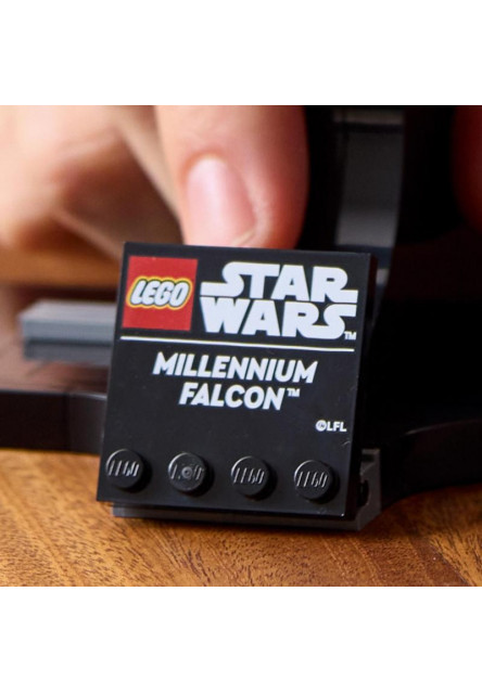 Millennium Falcon™