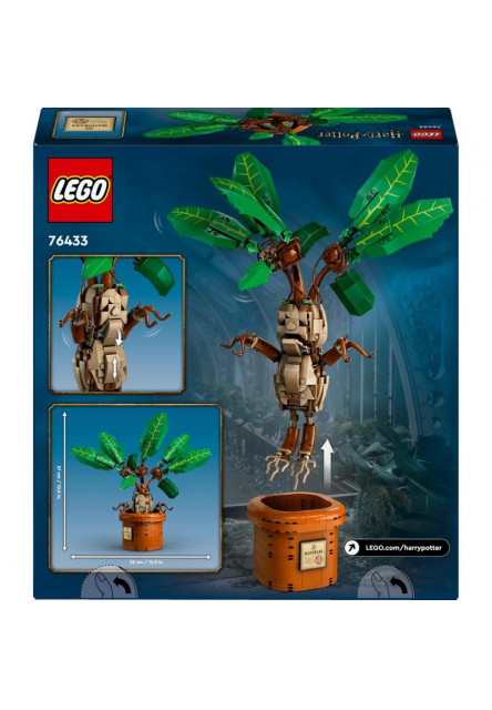 Mandragora