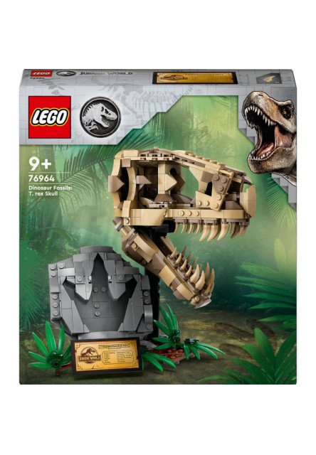 Dinosaurie fosílie: Lebka T-Rexa
