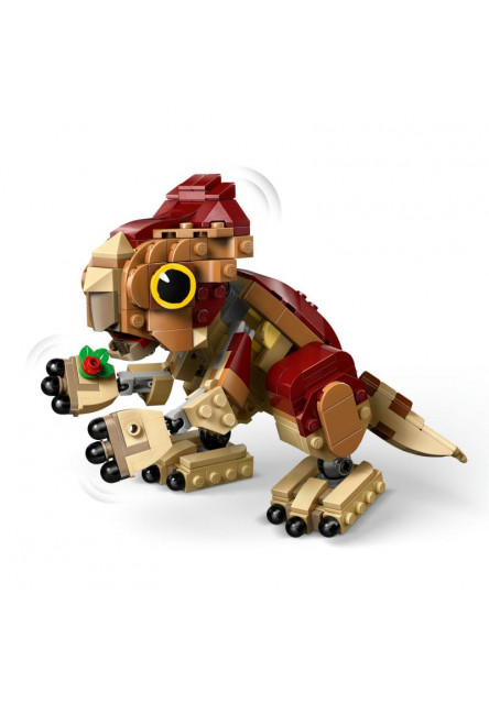 Dinosaurie mláďa Dolores: Aquilops