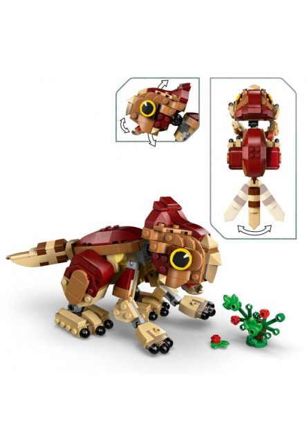 Dinosaurie mláďa Dolores: Aquilops