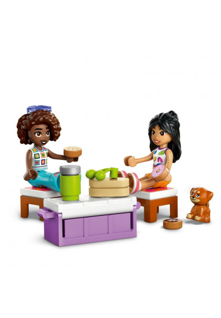 Výlet v aute s kamarátmi