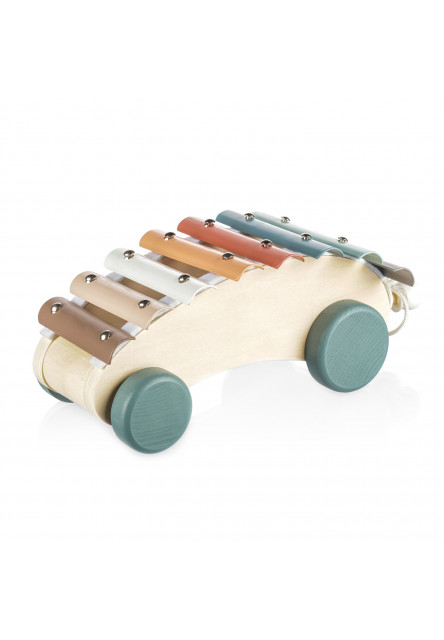 Dřevěný tahací xylofon, Xylophone