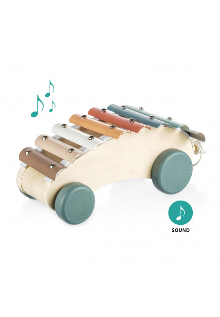 Dřevěný tahací xylofon, Xylophone