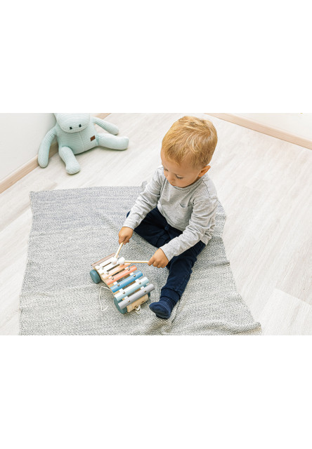 Dřevěný tahací xylofon, Xylophone