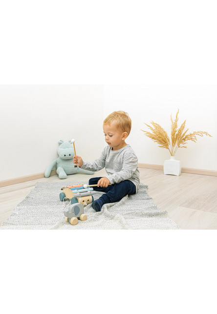 Dřevěný tahací xylofon, Xylophone