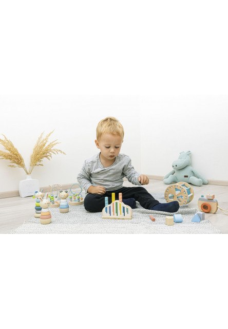 Dřevěná vyskakovací hračka, Night