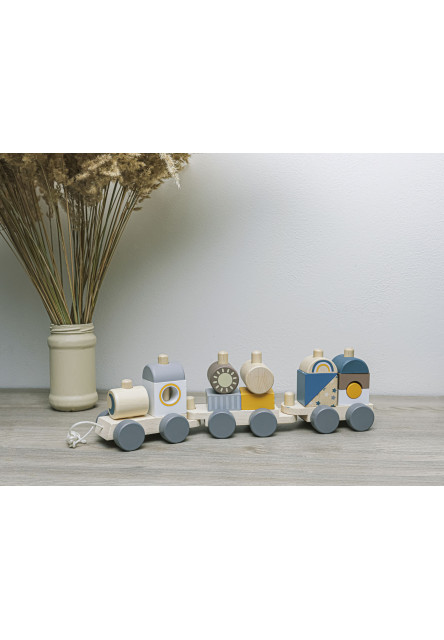 Dřevěný vláček, Train