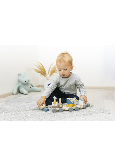 Dřevěný vláček, Train