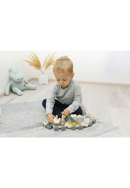 Dřevěný vláček, Train