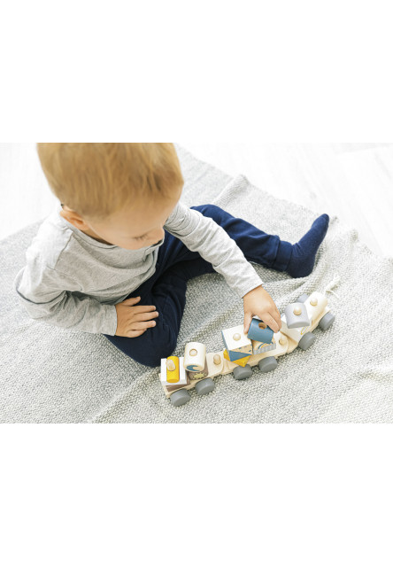 Dřevěný vláček, Train