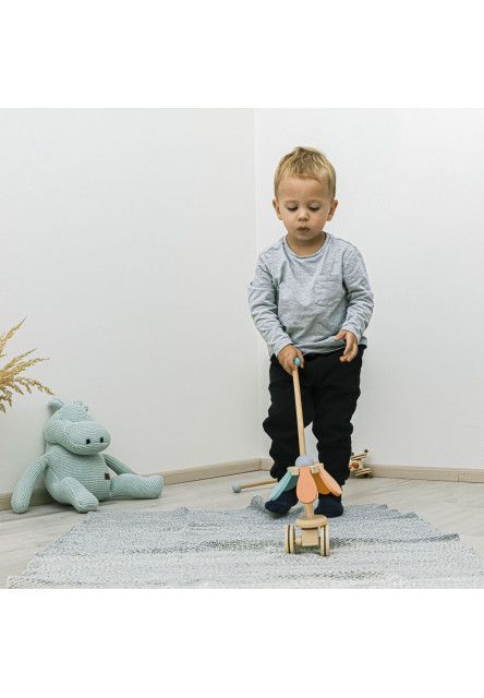 Dřevěný jezdík Dinosaurus, Red