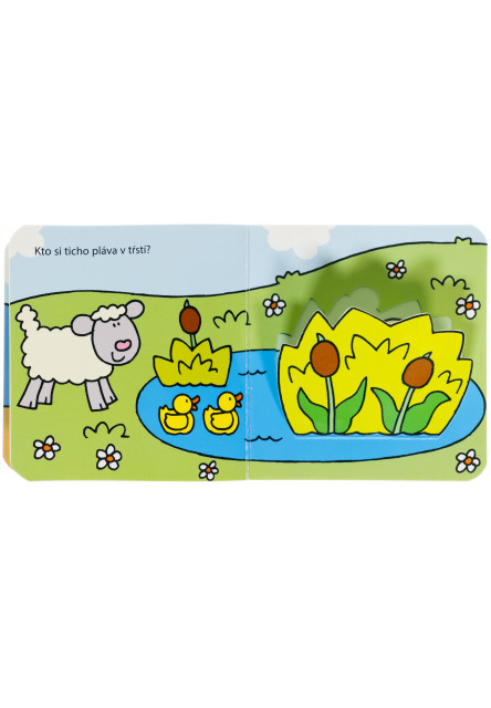 Pozri, kto sa skrýva na dvore