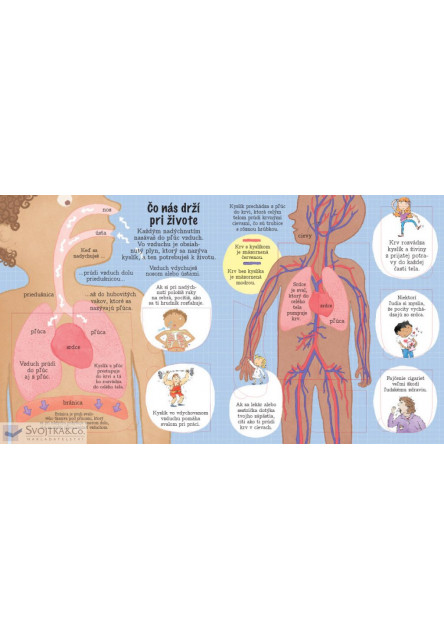 Nazri do svojho tela