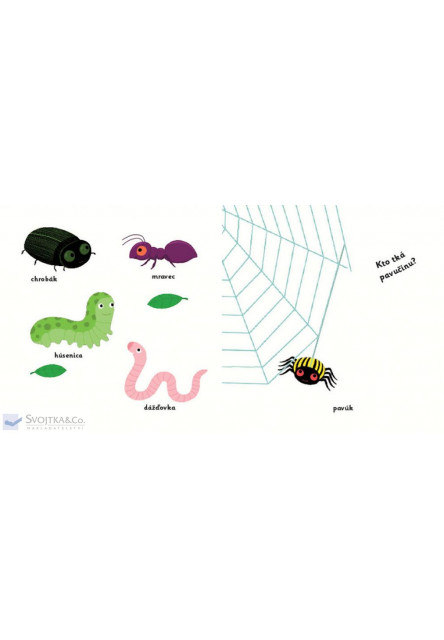 MiniPÉDIA – Objavujeme svet! Lúka