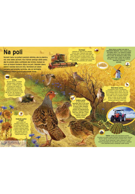 Veľká kniha zvukov na farme