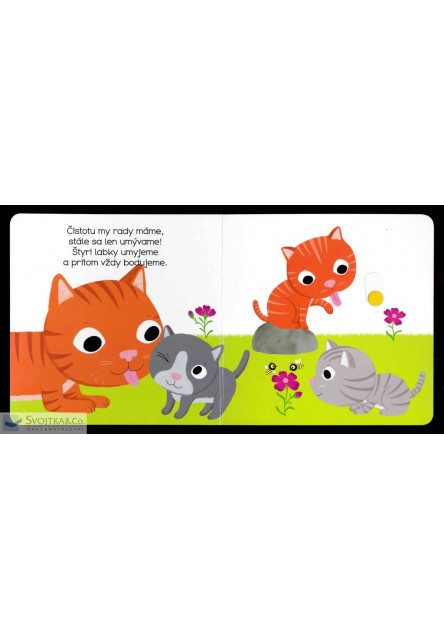 MiniPÉDIA – Dobrý deň  mačiatko!