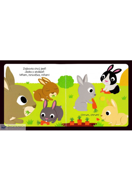 MiniPÉDIA – Dobrý deň  zajačik!