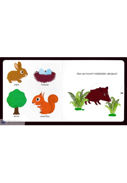 MiniPÉDIA – Objavujeme svet! LES