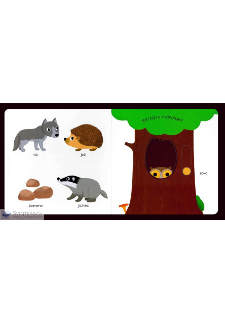 MiniPÉDIA – Objavujeme svet! LES