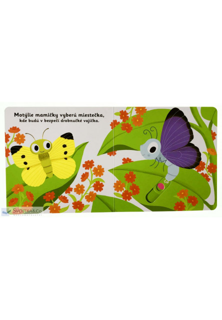 MiniPÉDIA – Dobrý deň, motýlik!