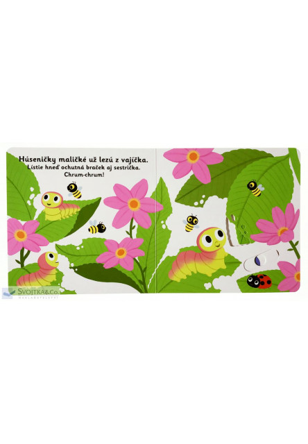 MiniPÉDIA – Dobrý deň, motýlik!